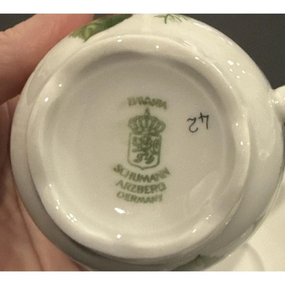 Schumann Arzberg Bavaria Germany Wild‎ Strawberry Tea Cup Saucer Set Vintage